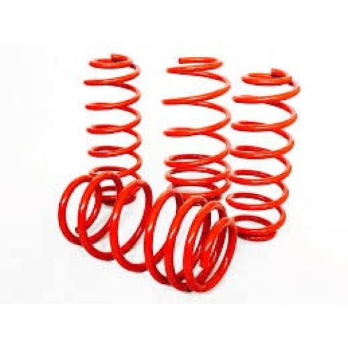 TOYOTA TAZZ 00- 40MM DROP SPRINGS TOYOTA TAZZ 00- 40MM DROP SPRINGS